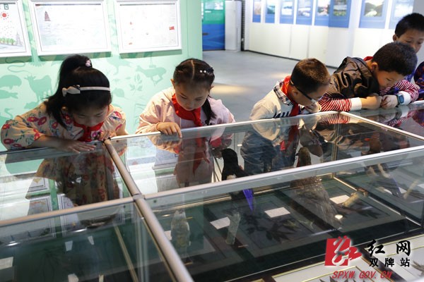 双牌一小到日月湖开展研学活动