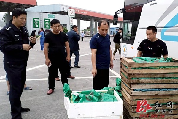 县森林公安:打击破坏野生动物资源犯罪专项行动成效显著