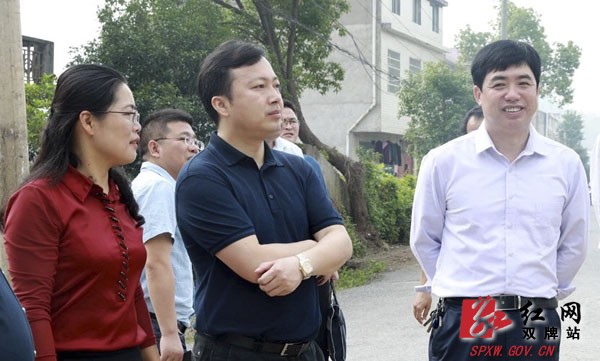 苏小康深入河东新区调研