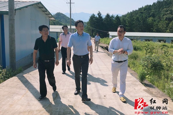 副市长谢景林来我县调研农业产业化项目
