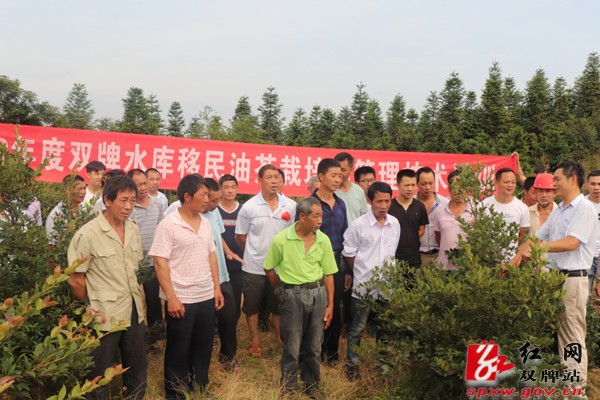 双牌油茶栽培与管理实用技术培训走进山头