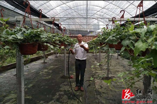 （户帮户 亲帮亲）双牌：绿色经济引领脱贫致富