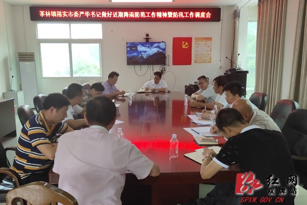茶林镇召开防汛工作调度会