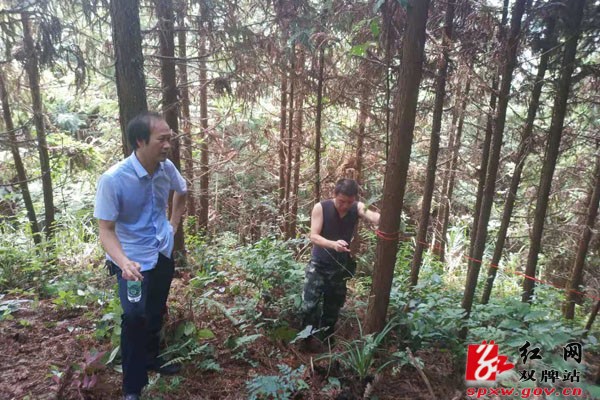 双牌县林业局:向形式主义官僚主义说“不”