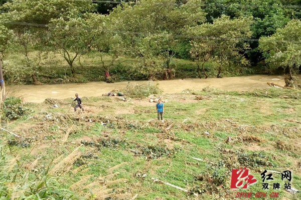 打鼓坪乡:洪水无情人有情 干群齐心保家园