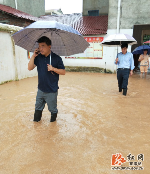 夜降大雨,泷泊镇汛情再次告急
