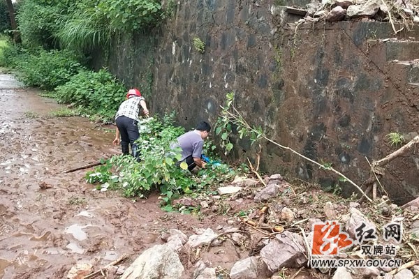 双牌：坚决打赢抗洪抢险硬仗 保障供水安全稳定