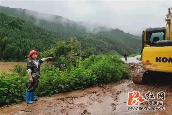 参训还是抗洪?双牌12名乡镇政协工委主任这样选择