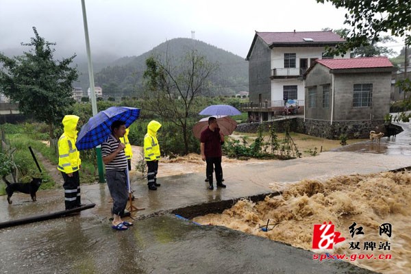 茶林镇干部群众众志成城抗洪抢险纪实