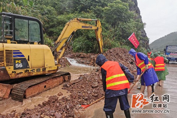 党员带头冲先锋 抗洪救灾显本色