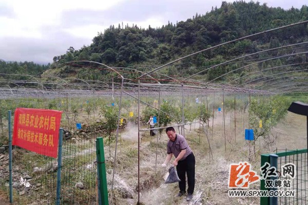 双牌:救灾补损工作突出“四个及时”
