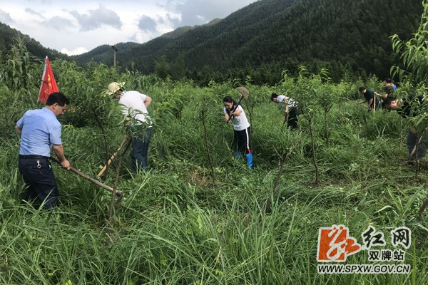 唐俊带队到阳明山村开展灾后重建活动,践行新时代文明实践工作