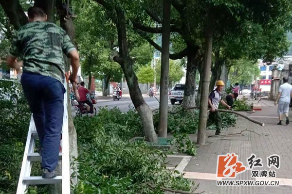 双牌县城市环境卫生和园林绿化事务中心 开展抗旱保苗等夏季绿化管护工作