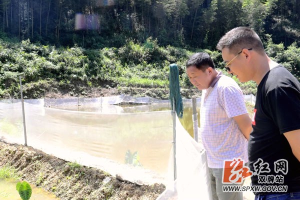 双牌法院:种养产业“造血式”扶贫让贫困户当“股东”