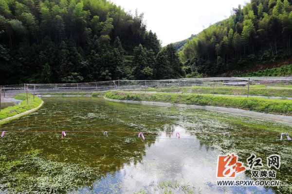 双牌法院:种养产业“造血式”扶贫让贫困户当“股东”