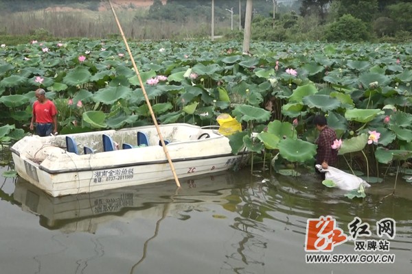 双牌:抱团发展种养殖 小户成长变大户