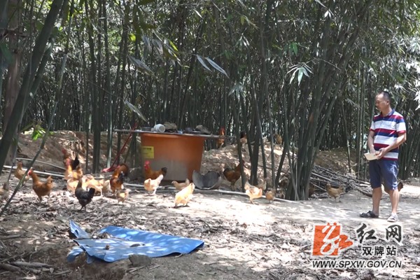 双牌:大力发展规模种养 帮助库区移民增收