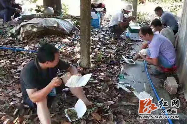 双牌:烈日下的坚守与担当