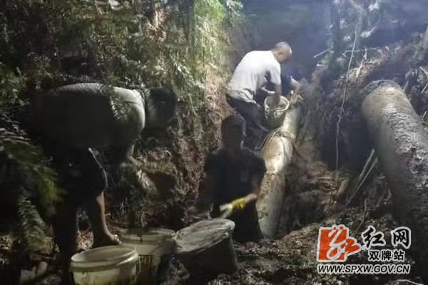 双牌:烈日下的坚守与担当