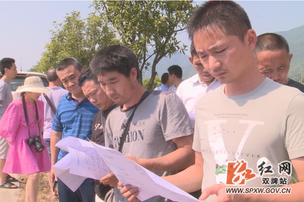 双牌:水稻新品种展示示范种植考察观摩活动