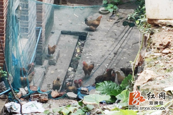 双牌:周五环境整治成常态