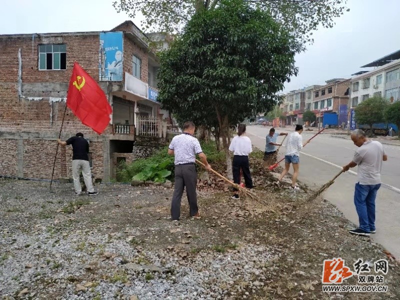 麻江镇:党员带头当先锋 环境整治齐行动
