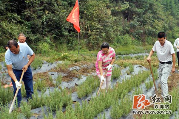 双牌:开展“不忘初心、牢记使命,走好脱贫攻坚战乡村振兴路” 主题党日活动