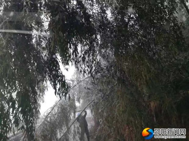 微信图片_20181209153437
