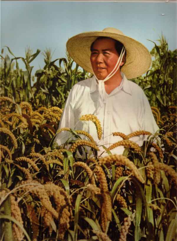 毛主席在河南农村视察