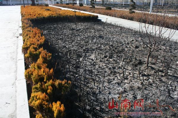 新春走基层：山南网提醒您燃放烟花爆竹要小心新春走基层：山南网提醒您燃放烟花爆竹要小心"