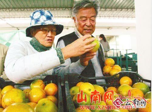 85岁褚时健赴北京卖橙