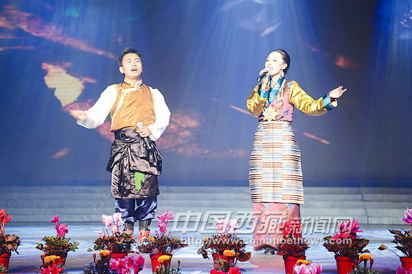 中国经济网：2013雅砻文化节开展了丰富多彩活动