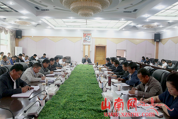 山南对2015西藏雅砻文化节再动员再部署