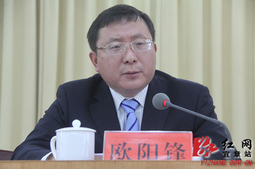 图为欧阳锋在作报告