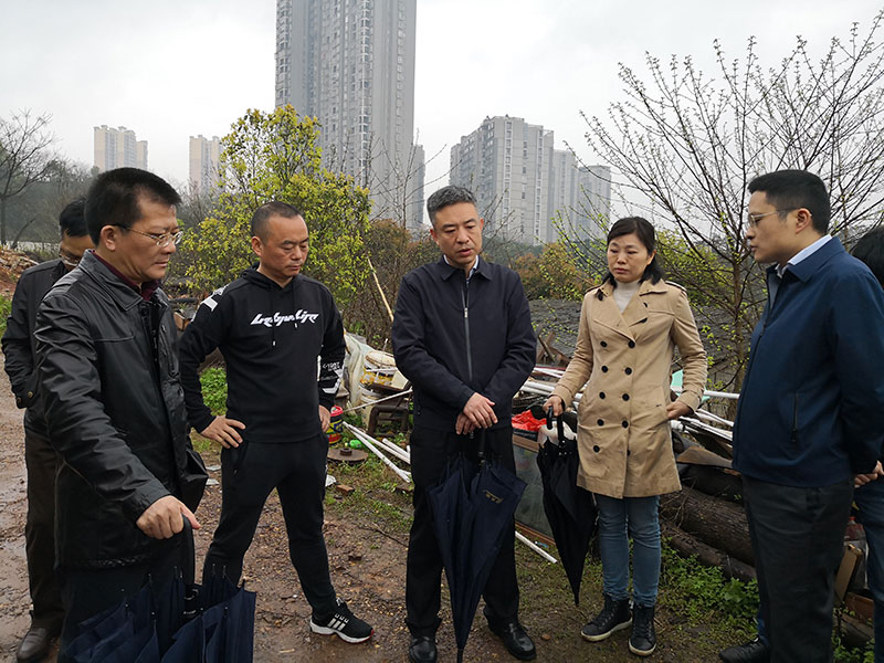 t周凡区长向开心农场老板做政策宣讲工作.jpg