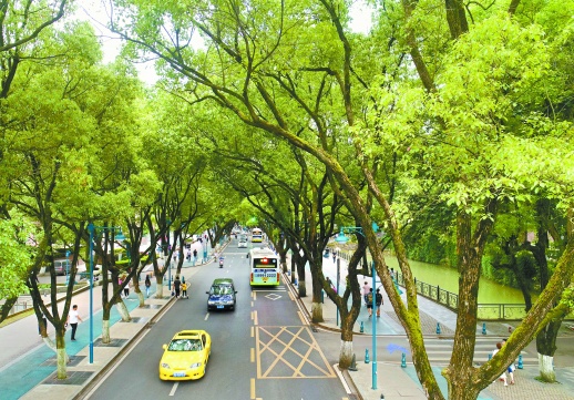 res03_attpic_brief (1).jpg