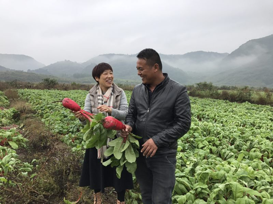 都庞岭下“女人花”----记省十二届人大代表张四玲