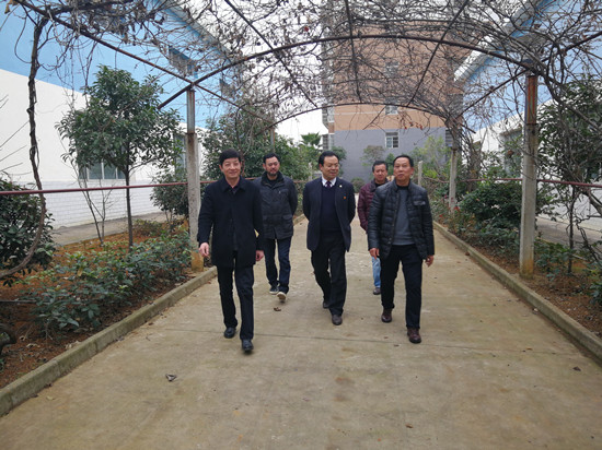 市人大常委会副主任杨海河带队开展新春走访慰问活动