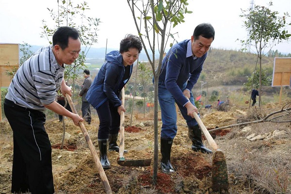 永州开展春季义务植树活动 厚植生态文明优势