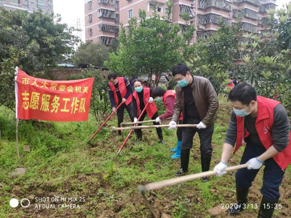 市人大机关开展义务植树、学雷锋志愿活动