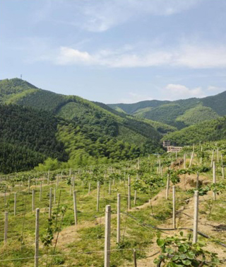 王雄深入蓝山联村、双河村开展“冲刺问题清零、决战脱贫攻坚”重点帮扶调研