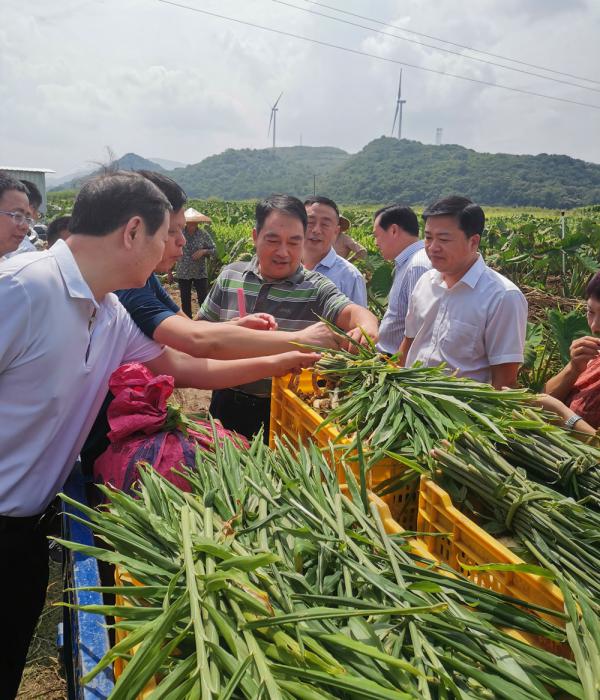 让永州“菜篮子”工程更高效富民